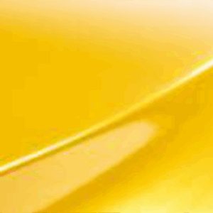 Sunflower (G25)